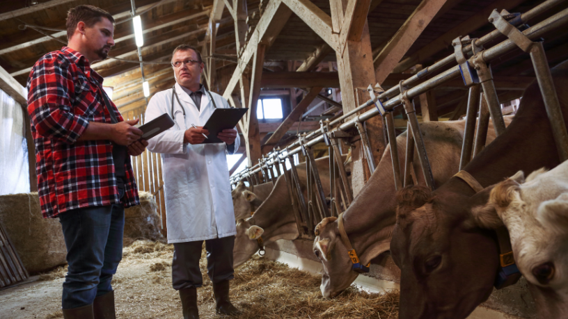 A pecuária entra na era da alta performance, onde João Eustáquio De Almeida Junior destaca como a automação e os sistemas digitais elevam produtividade e controle no campo.