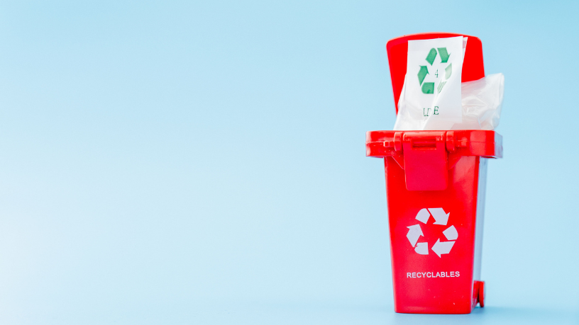 Márcio Velho da Silva