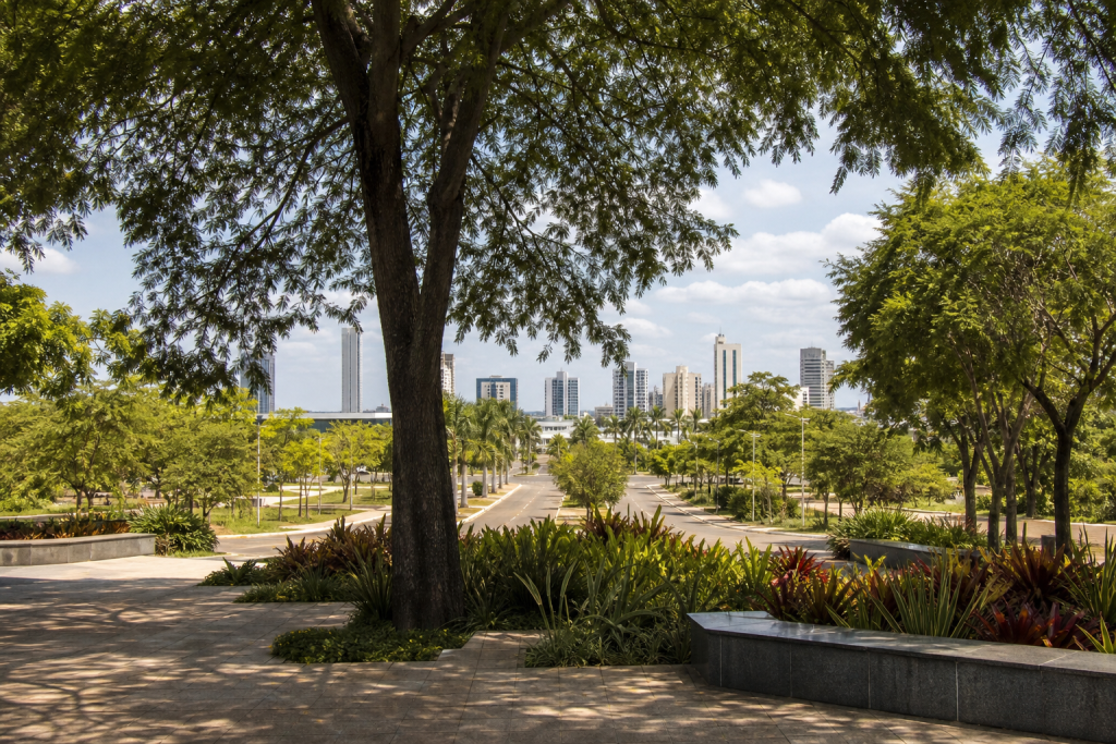 Área arborizada de Palmas com espécies do Cerrado, vias urbanas e paisagem da capital do Tocantins ao fundo